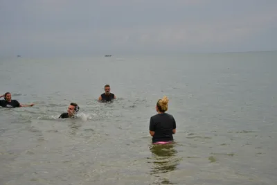 DSC_5418 (Large).JPG